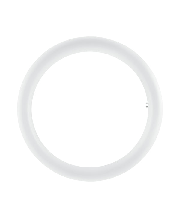 Tubo LED T9 Circular 20W Luz Fria 32 Osram