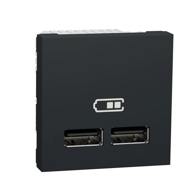 Schneider Electric NU341854. New Unica Cargador doble USB 2-1A 2 mod. Antracita